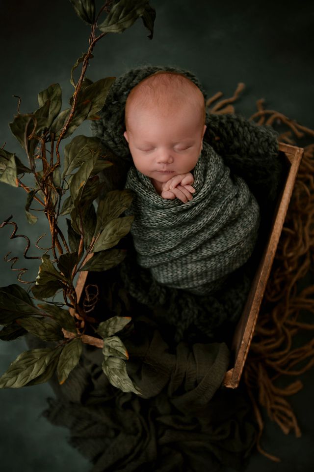 North Alabama Newborn Photographer
Southern Tennessee Newborn Photography 
Newborn mini session, Newborn session near me 
watch me grow