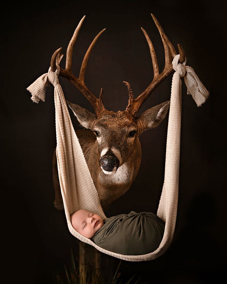 North Alabama Newborn Photographer
Southern Tennessee Newborn Photography 
Newborn mini session, Newborn session near me 
watch me grow