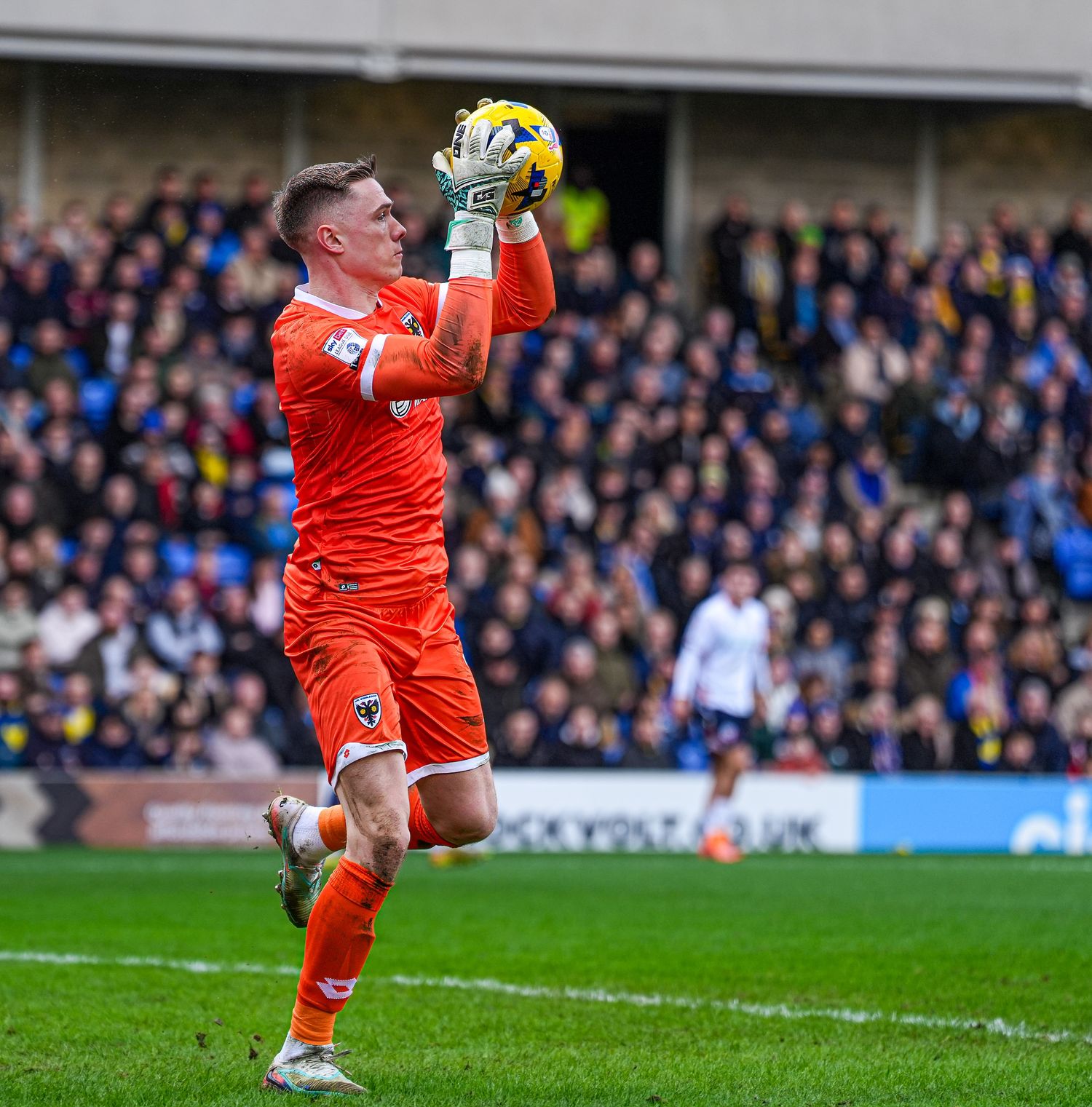 Sports Photography - League One - London Kent - AFC Wimbledon - SJA Sports Journalist Association Member