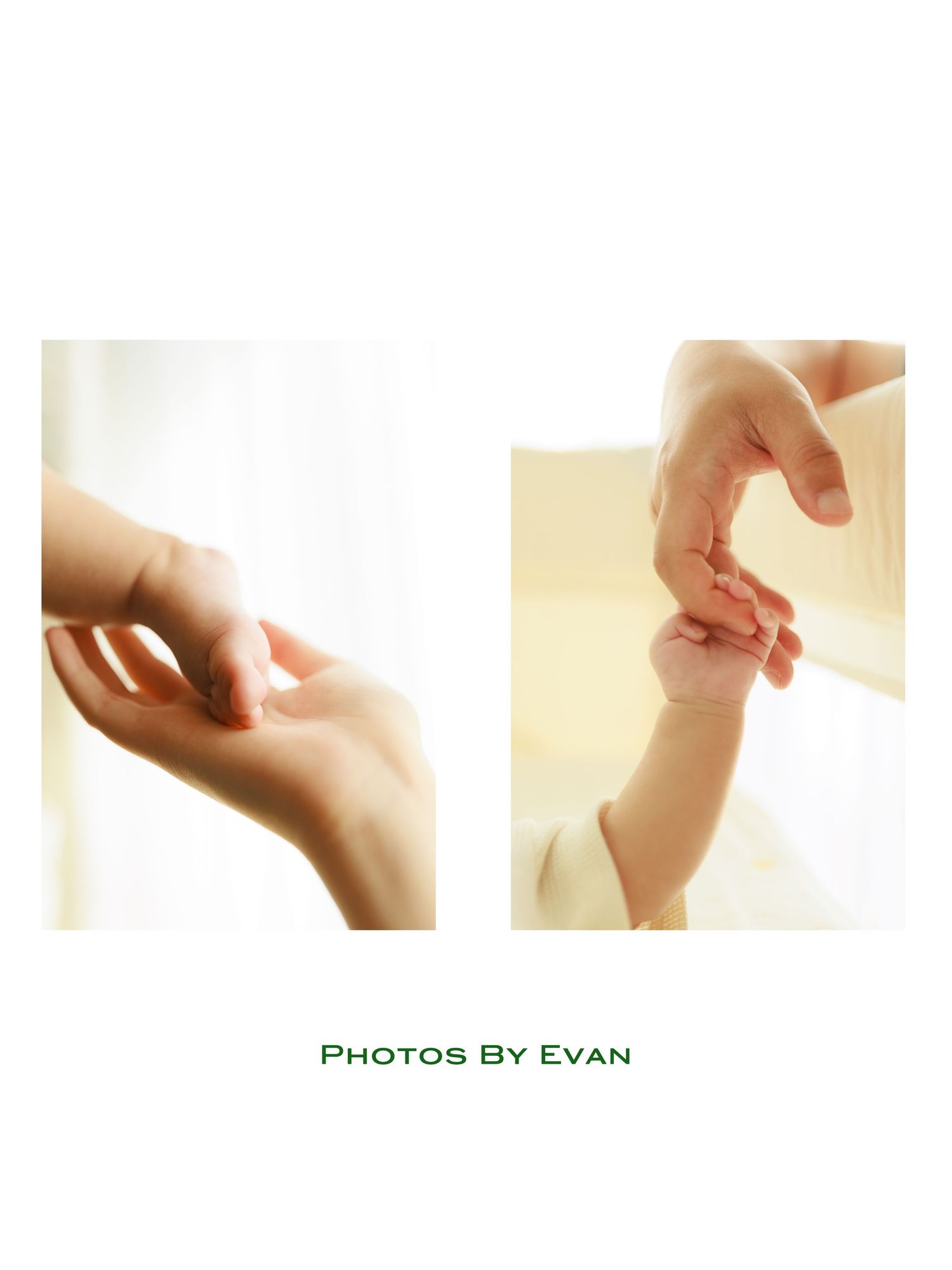 Close-up of parents gently holding newborn baby hands, tender family photography by Evan.