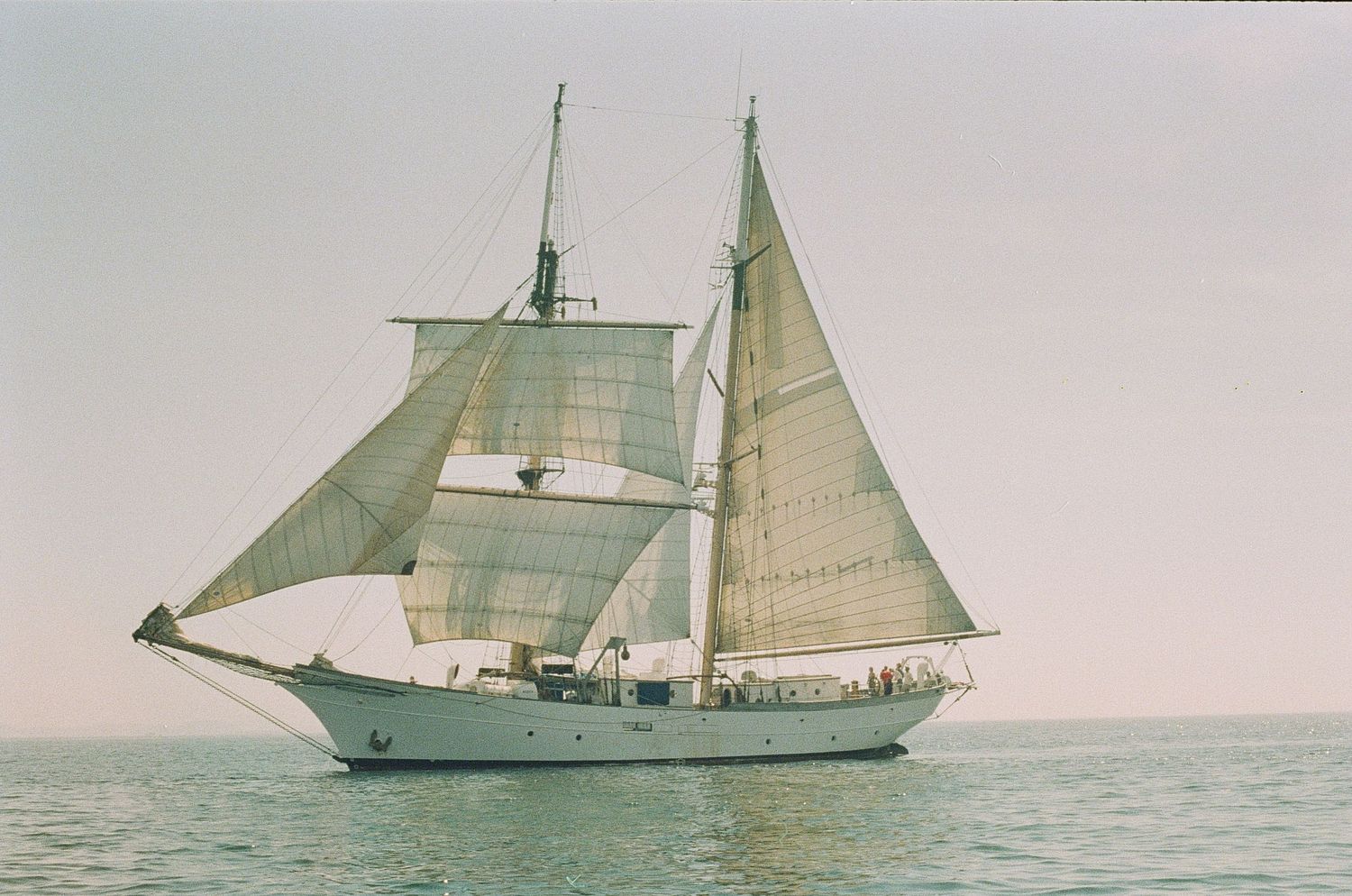 sailboat on water