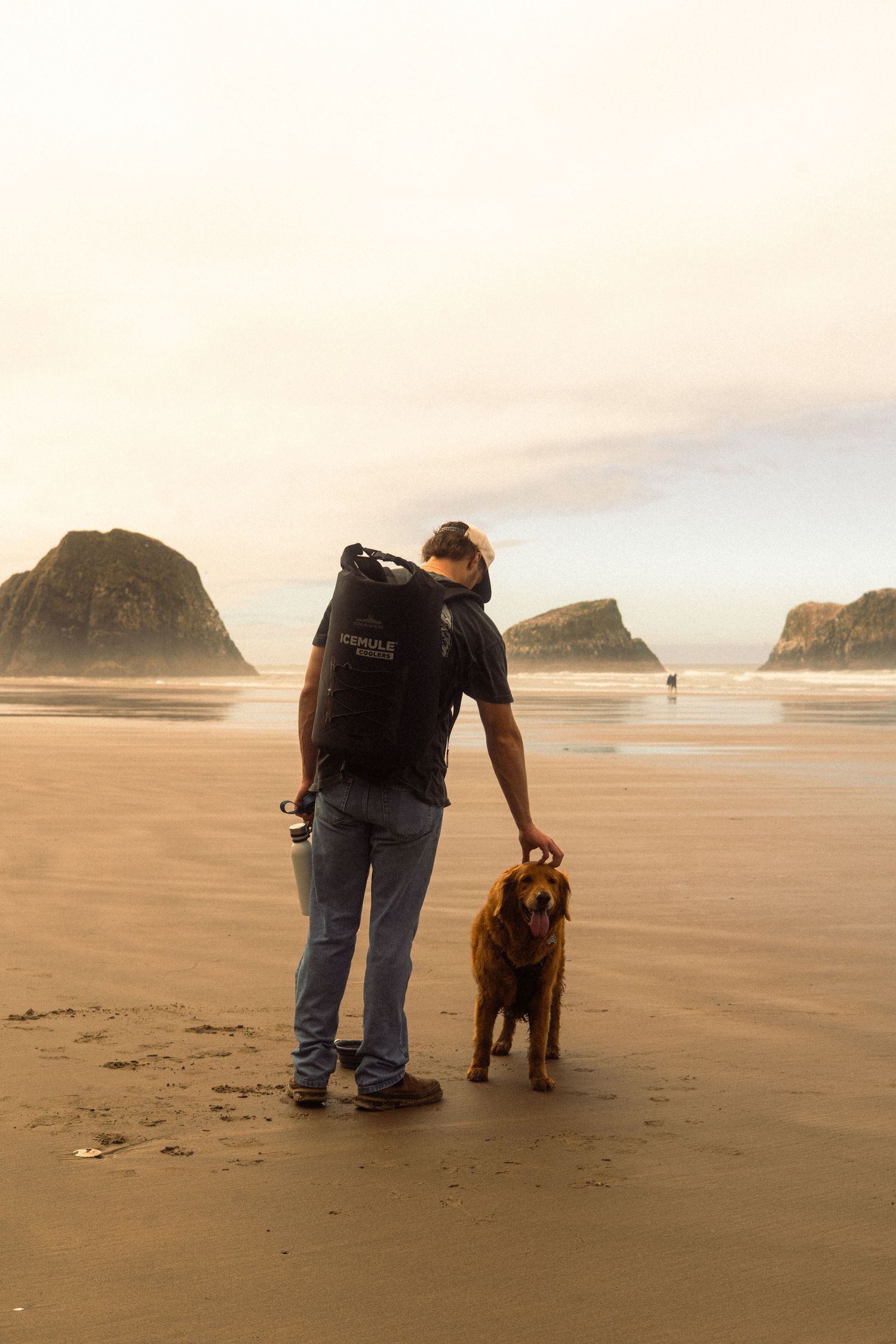 man petting dogs head