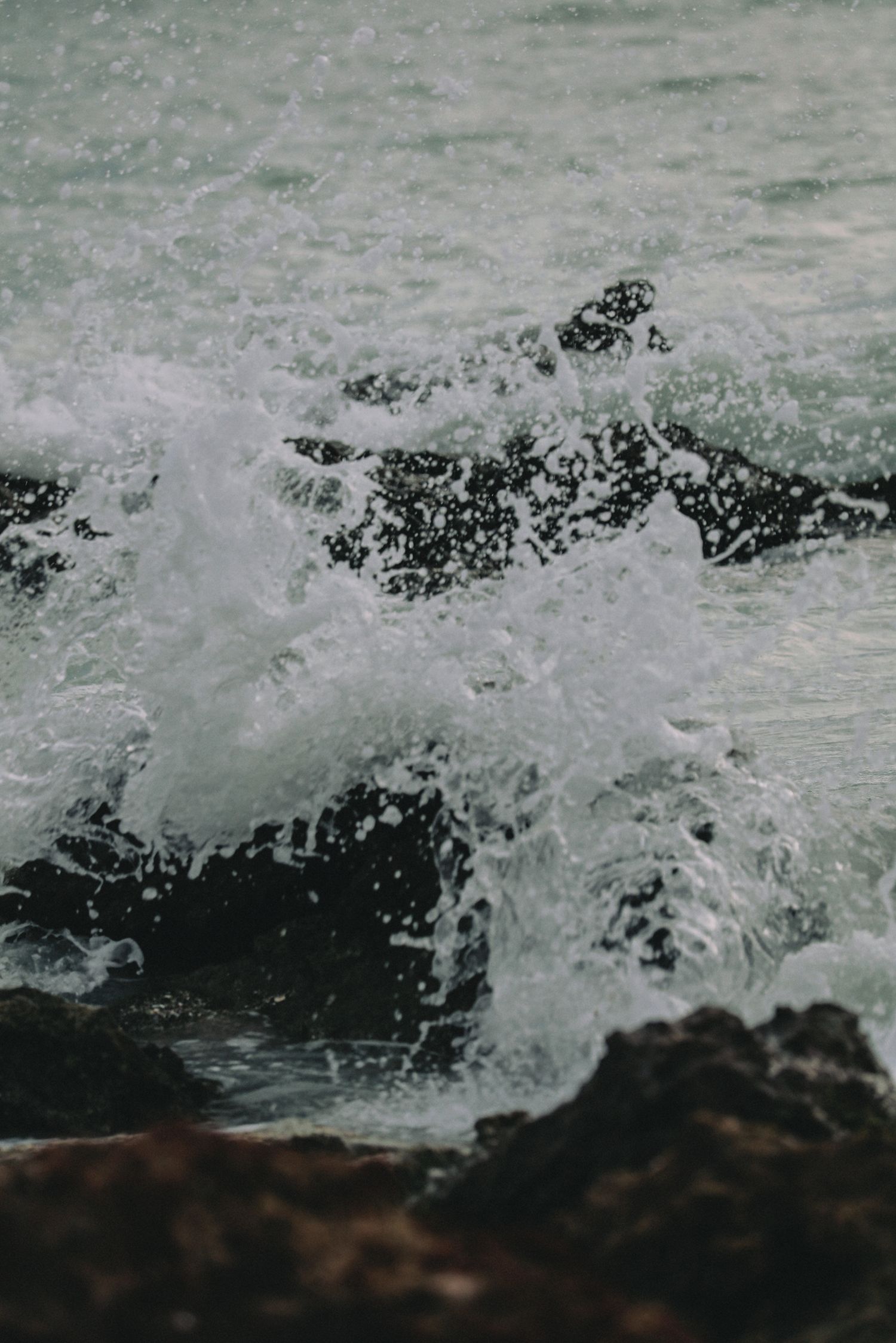 Ocean waves crashing violently against dark rocky shore, creating dramatic white sea foam spray in moody coastal seascape.