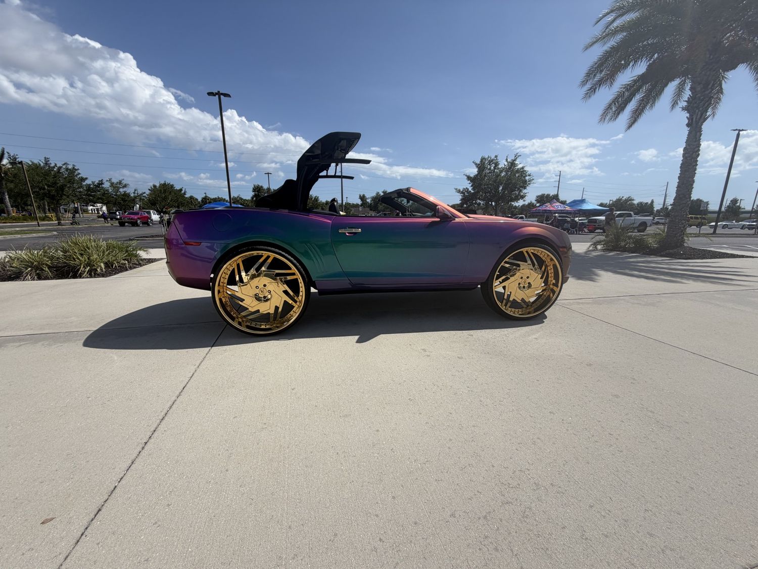Custom chameleon color-shifting car with gold Forgiato wheels parked in a lot with palm trees.