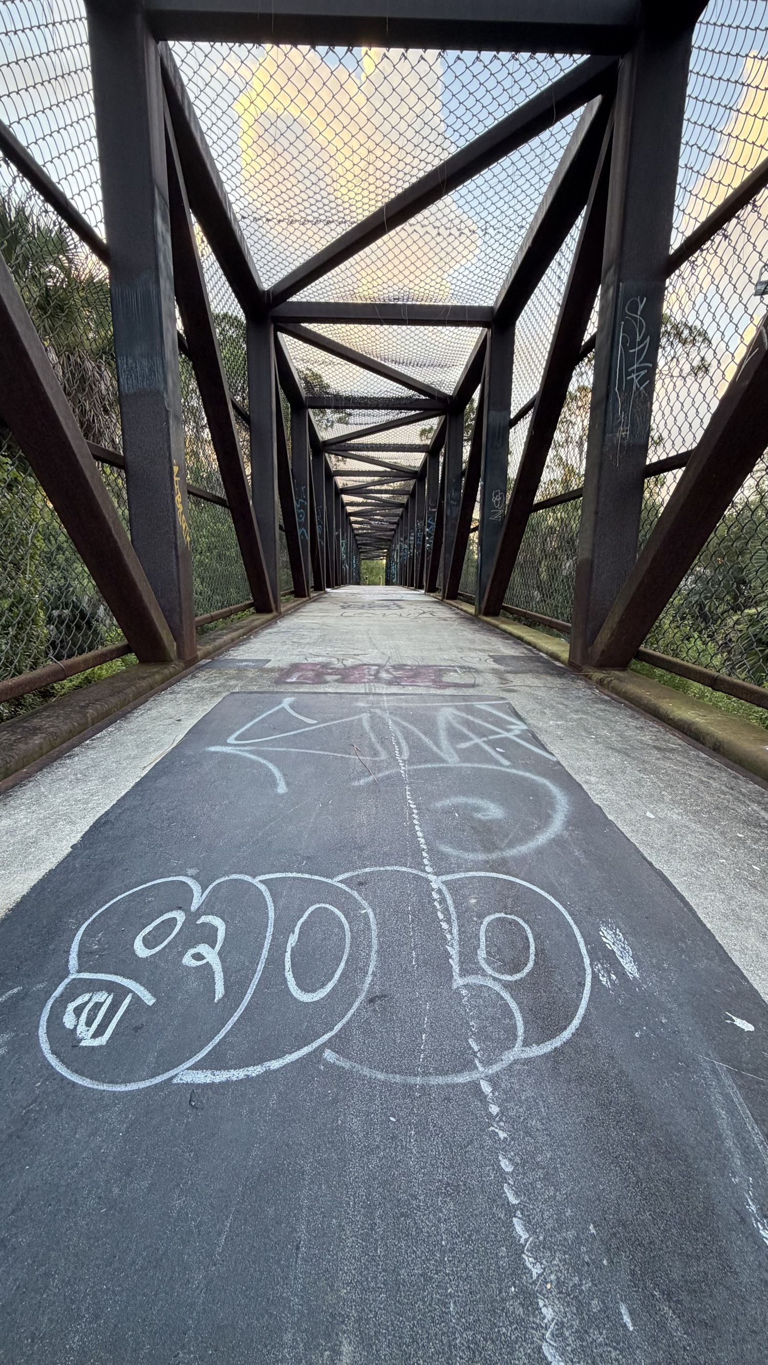 Graffiti-covered pedestrian bridge with steel truss framework and chain-link fencing at dusk. Shrimp Ln, Northport FL.