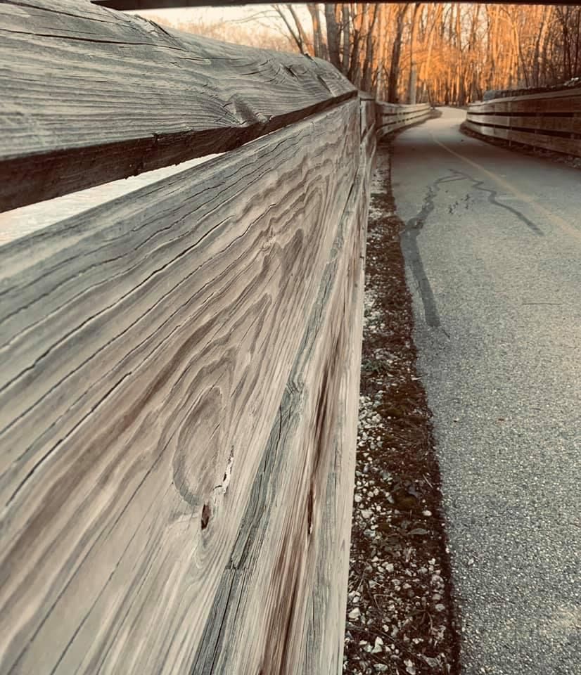 Weathered wooden fence lining a winding road through autumn trees with orange foliage in a serene forest setting.