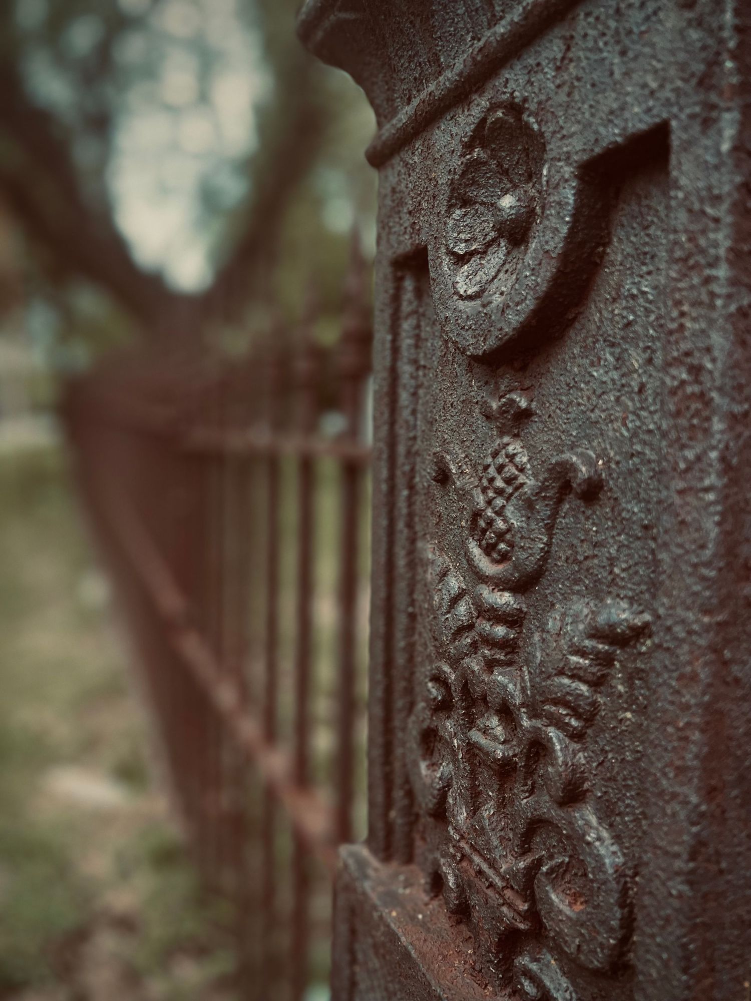 Close-up of ornate rusty cast iron fence with decorative floral engravings in a vintage outdoor setting.