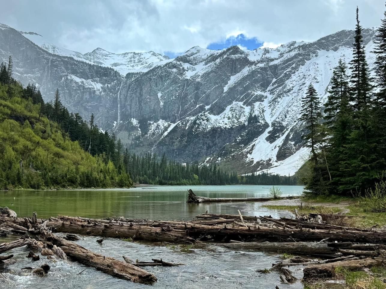 Snow-capped mountains reflect in a serene alpine lake surrounded by evergreen trees and driftwood logs.