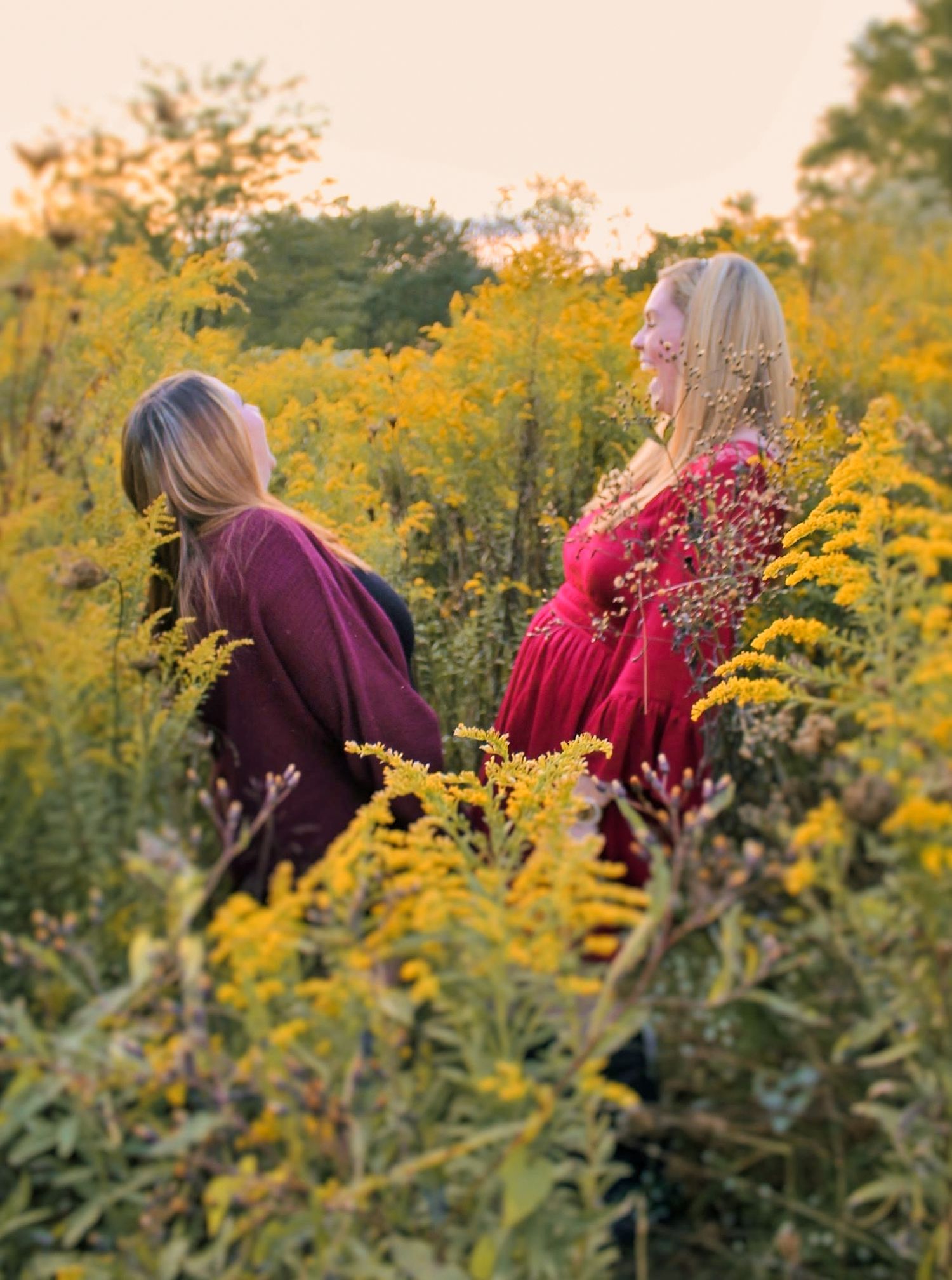 Two blonde women in red and burgundy dresses standing among golden wildflowers in a sunlit field.