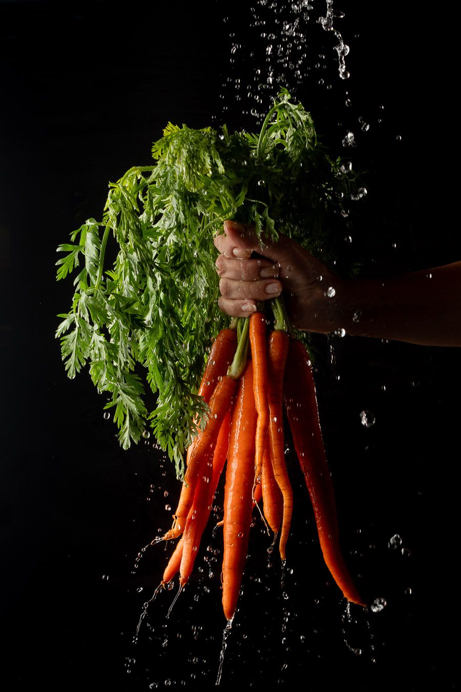 Washing a bunch carrots with splashing water on a black background by Philadelphia Photographer David Salvatore