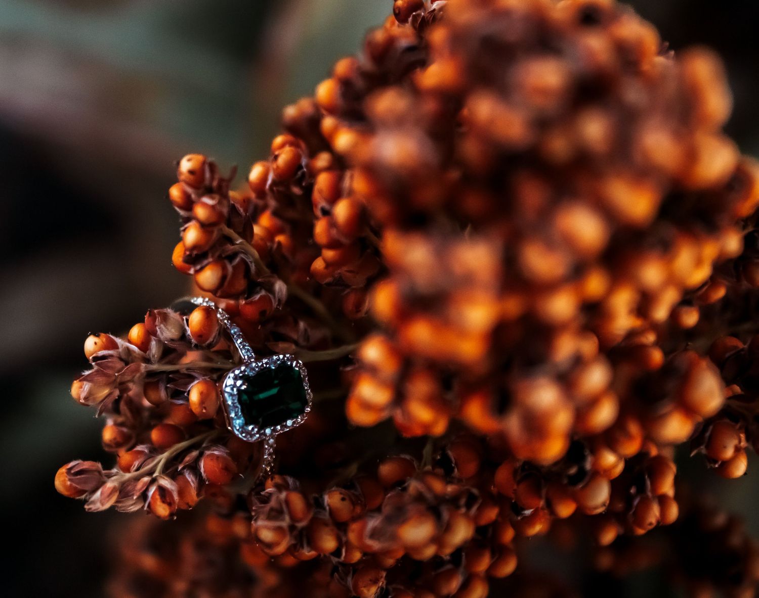 Elegant sapphire and diamond ring resting among vibrant orange-red berries on a dark botanical branch.