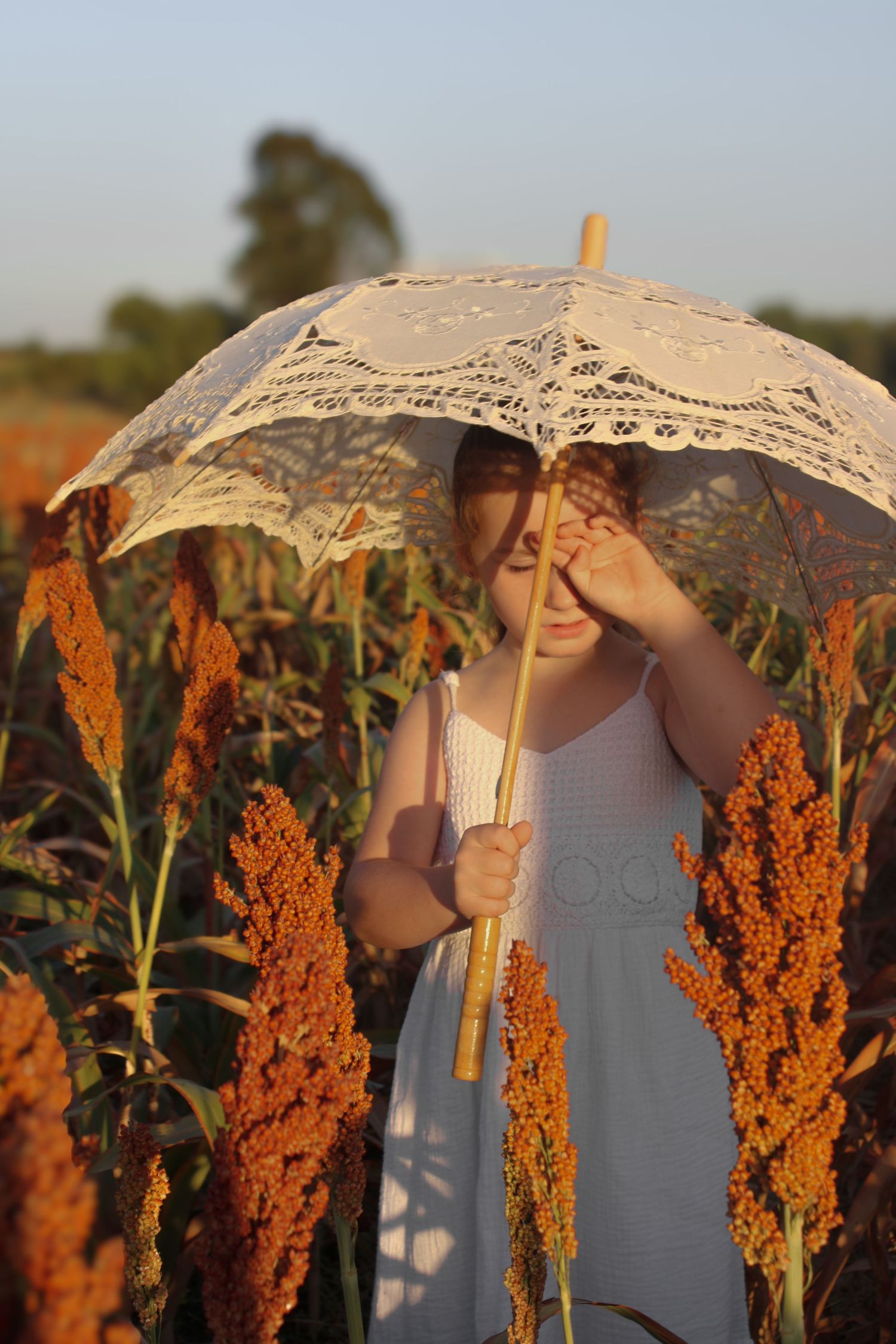 Young girl in white dress holding lace parasol umbrella standing in golden sorghum field at sunset.