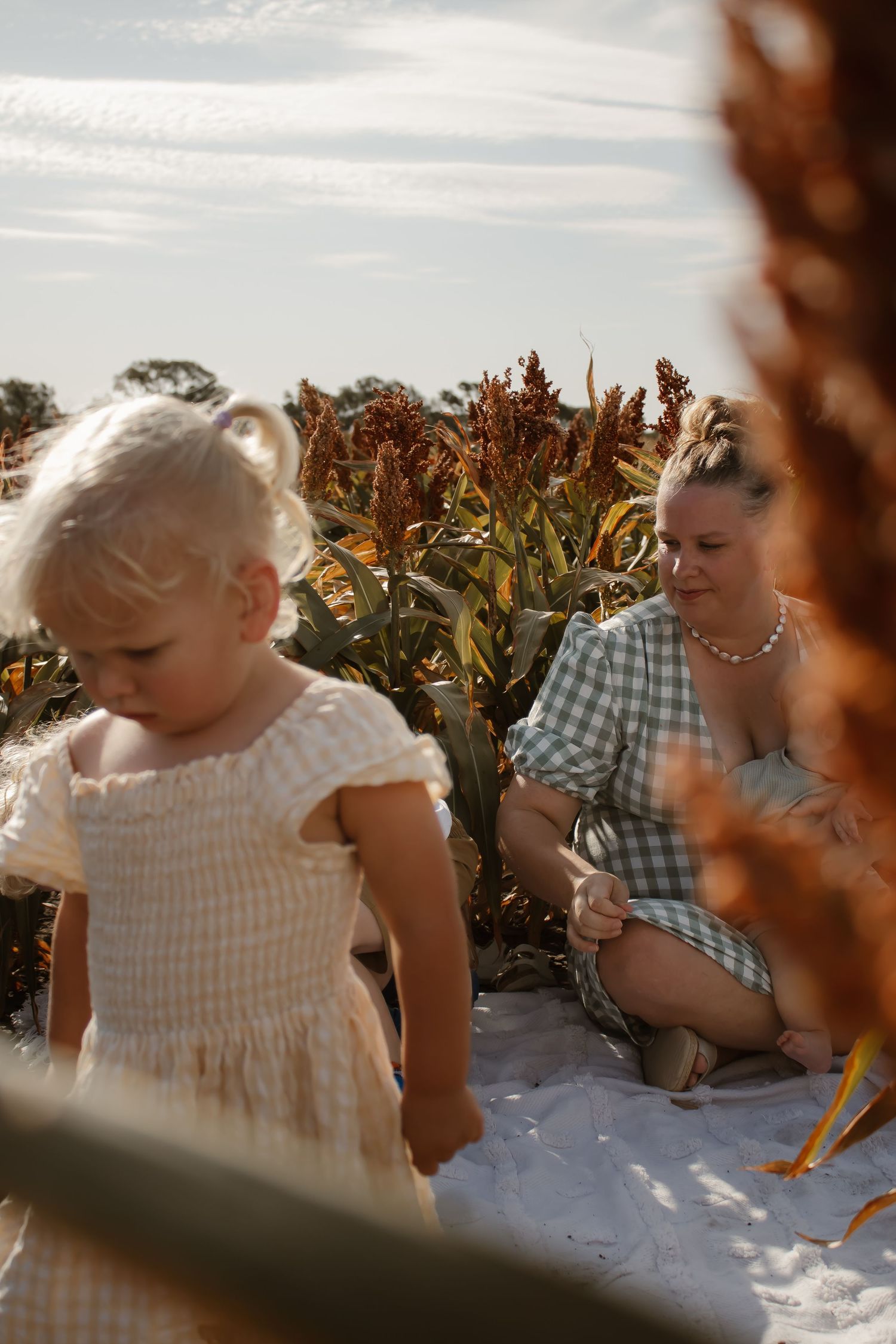 A woman in a gingham dress sits with a toddler girl in a white dress among tall sorghum plants in a golden field.