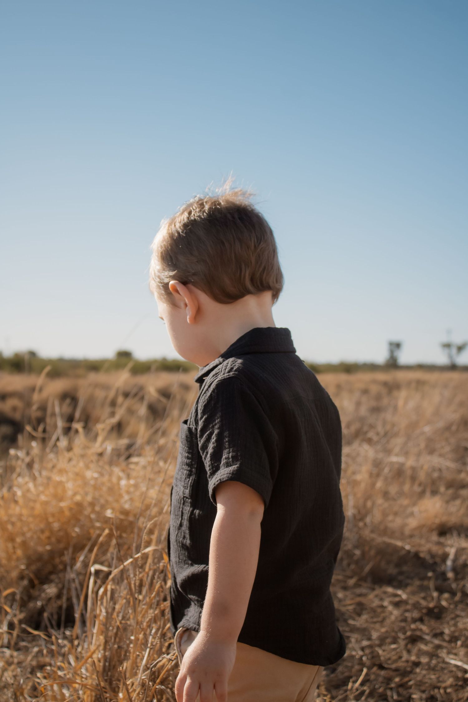 Young boy in black shirt standing in golden dry grass field under clear blue sky, viewed from behind.