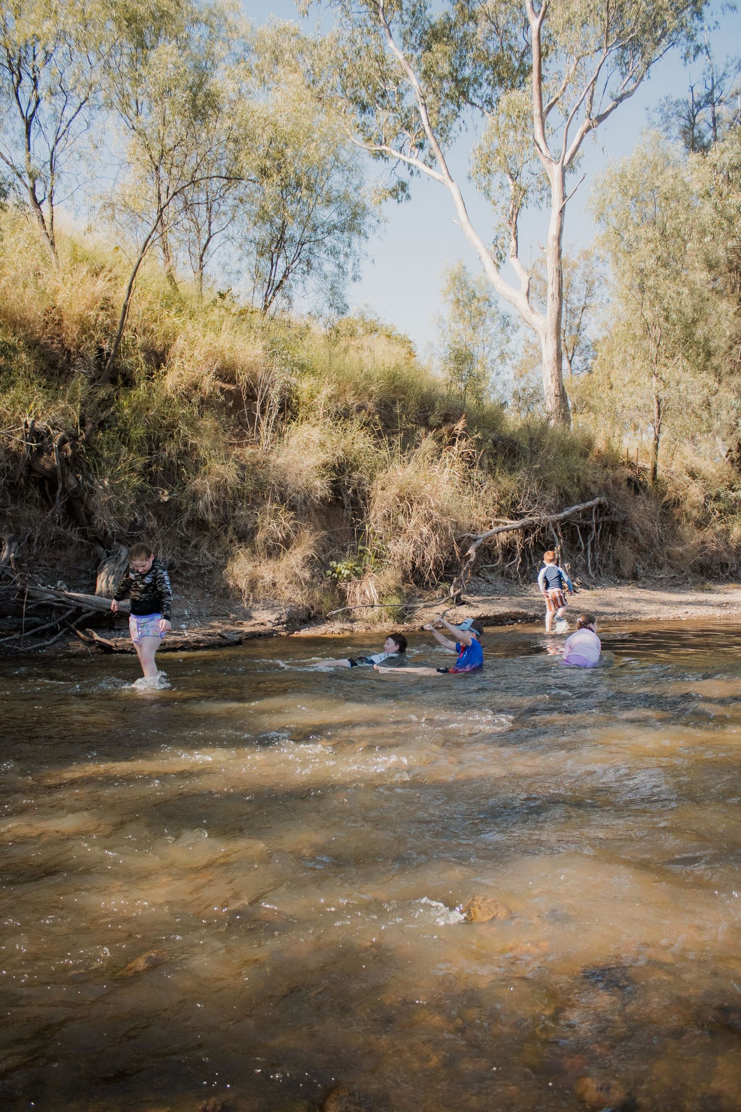 Children playing and swimming in a shallow Australian creek surrounded by eucalyptus trees on a sunny day.