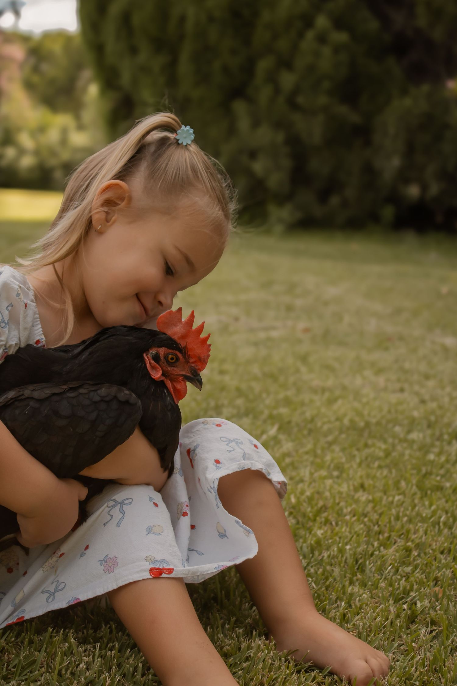 Smiling young girl in floral dress gently hugging a dark rooster on green grass.
