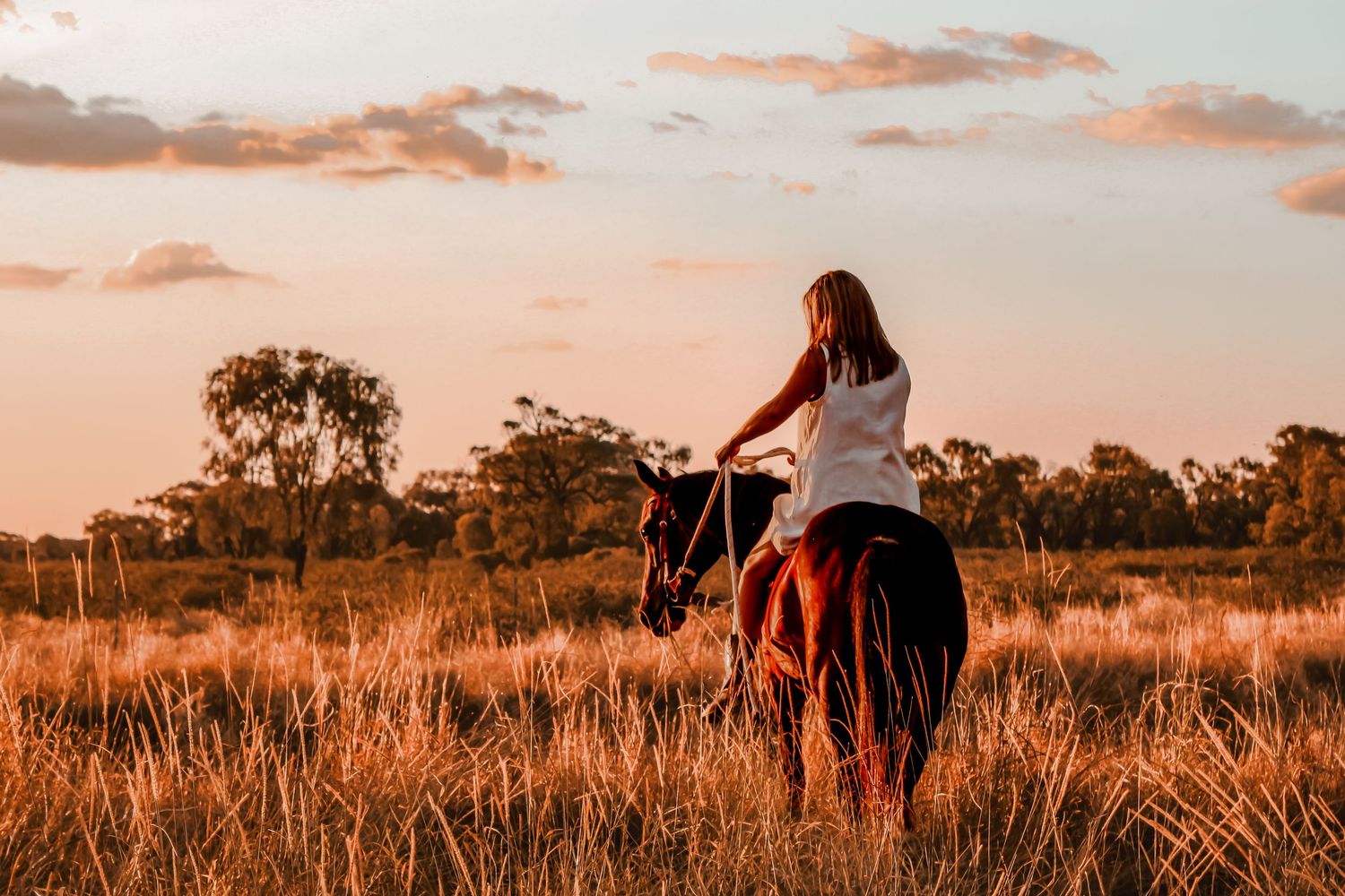 Woman riding a brown horse through golden grasslands at sunset with trees silhouetted against a warm orange sky.
