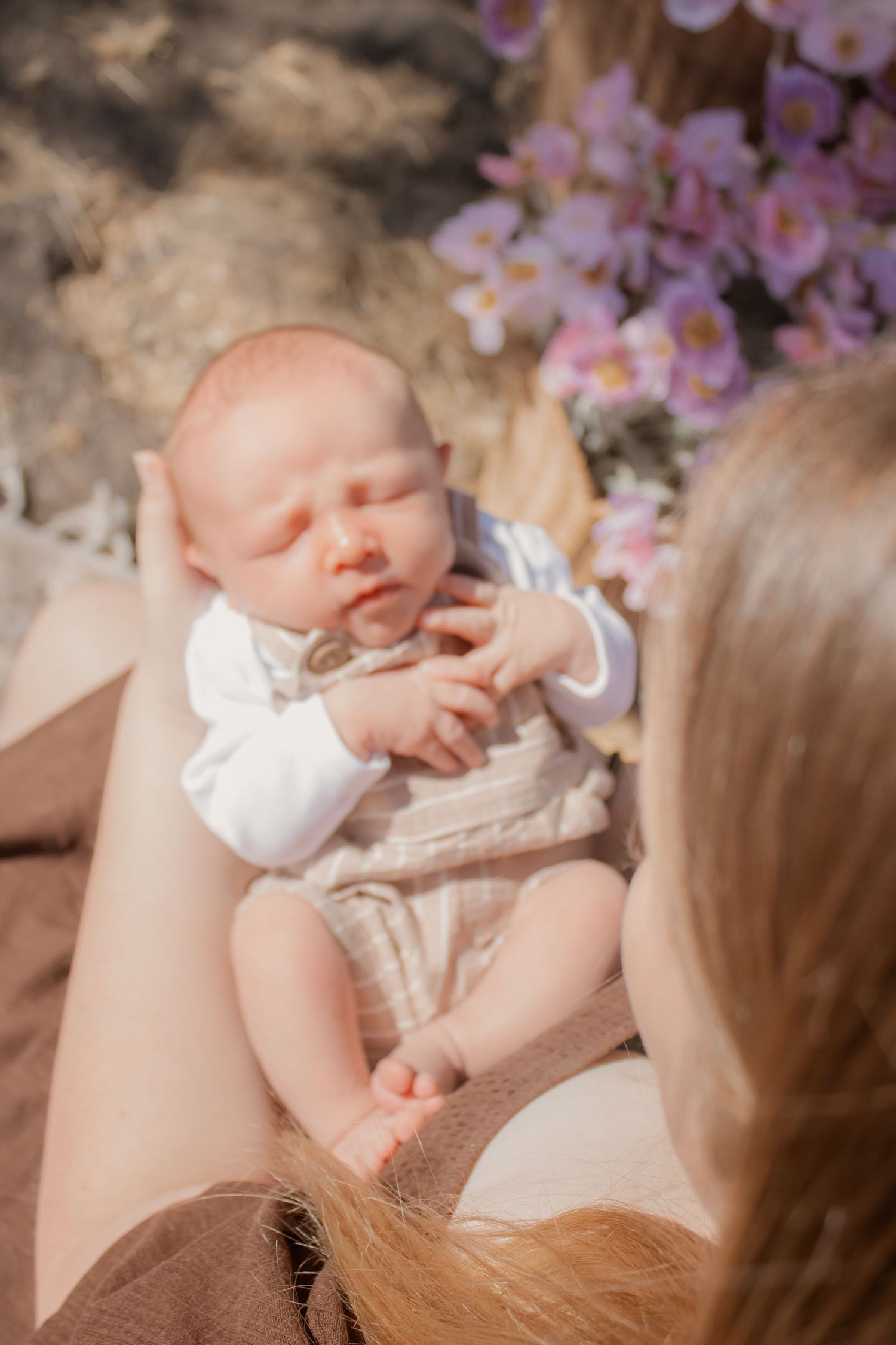 A newborn baby sleeps peacefully in mother's arms outdoors, surrounded by soft pink flowers in warm sunlight.
