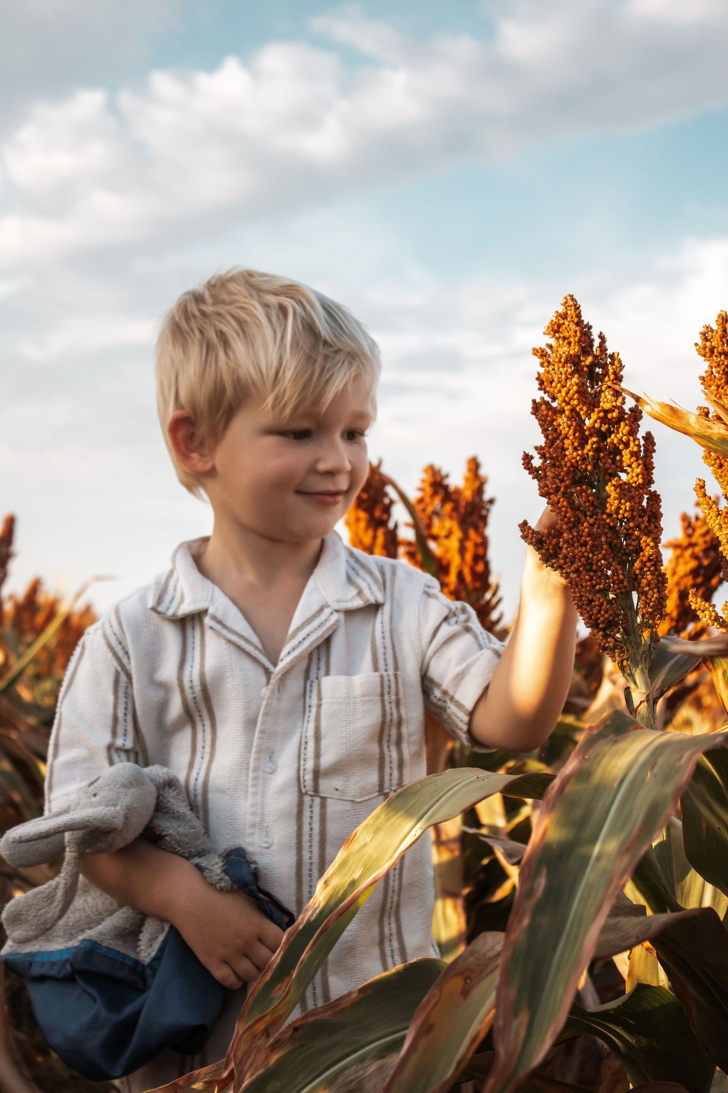Blonde boy smiling in a golden sorghum field at sunset, holding a stuffed animal in a striped shirt.