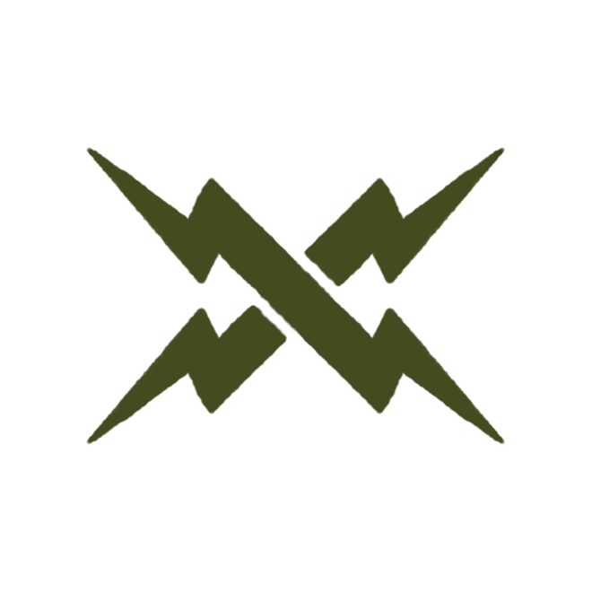 Dark olive green crossed lightning bolt logo mark on white background.