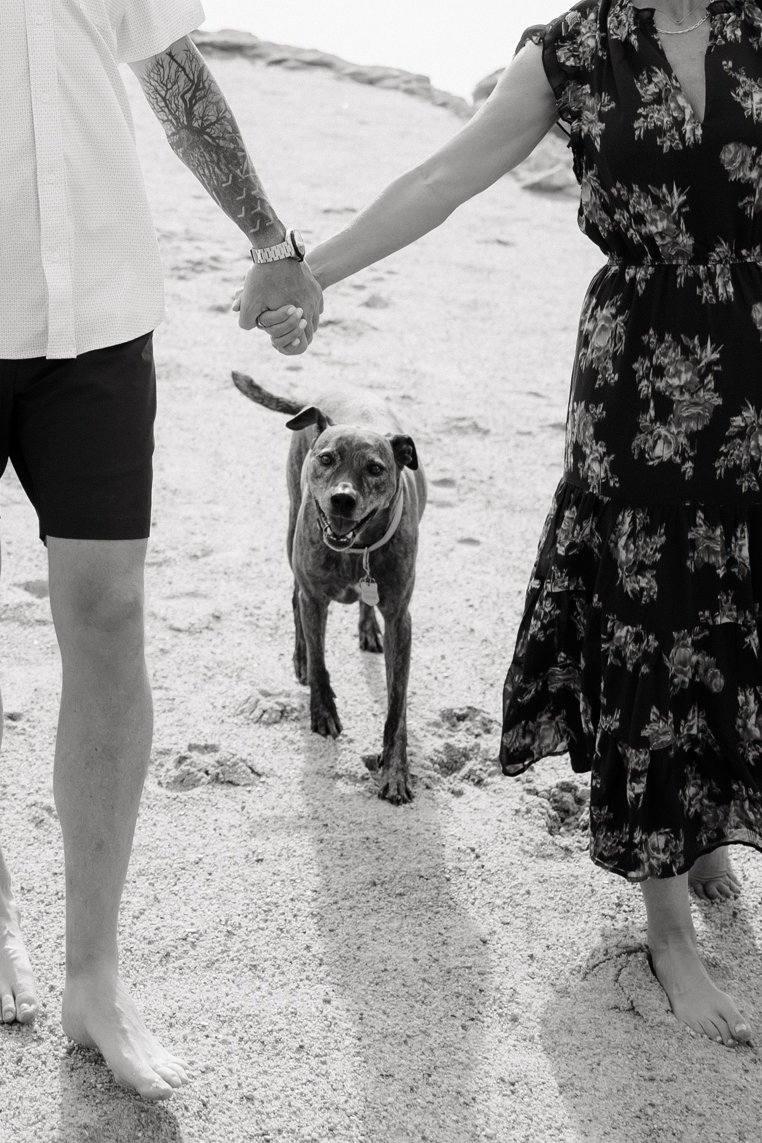 Black and white photo of couple holding hands with dog walking between them on beach.