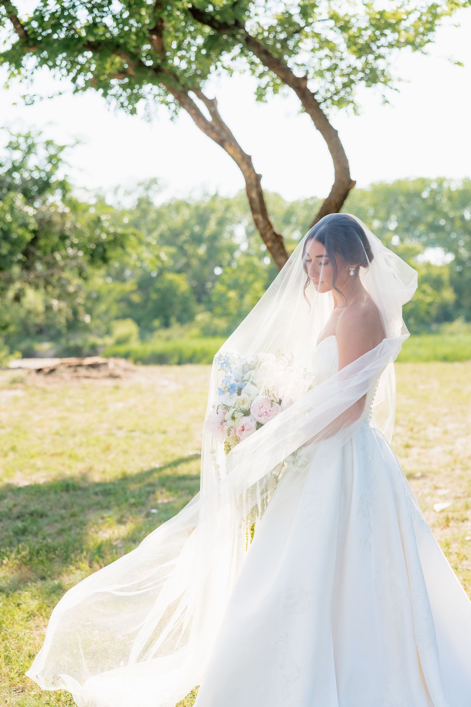 Elegant bride in ball gown holding floral bouquet, long veil draped over her under a tree in golden sunlight.