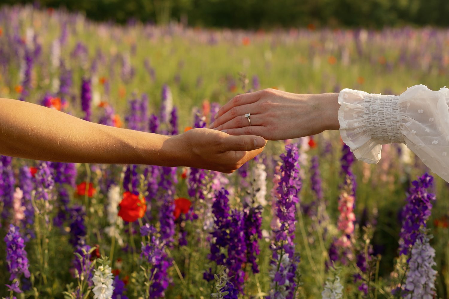 Purple and red wildflowers blooming in a sunny meadow with extended hands in frame.