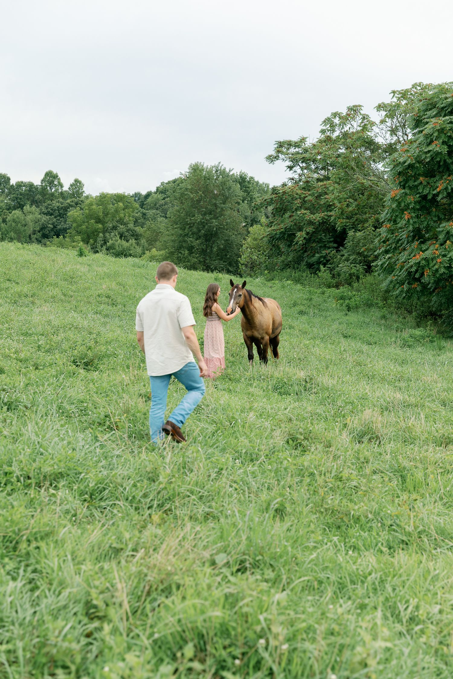 A peaceful scene of people approaching a brown horse in a verdant summer meadow.