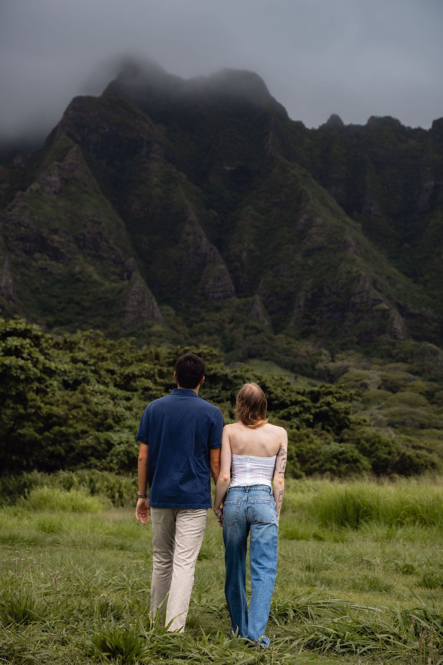 Couple holding hands viewing dramatic misty green mountain landscape from grassy field.