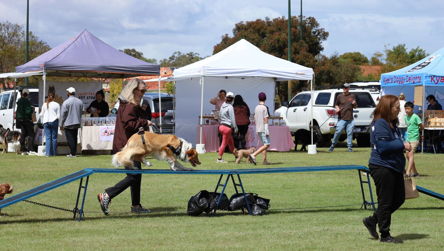 Dog agility competition on a grassy field with a handler guiding a dog over an obstacle, with spectators and event tents in the background.
