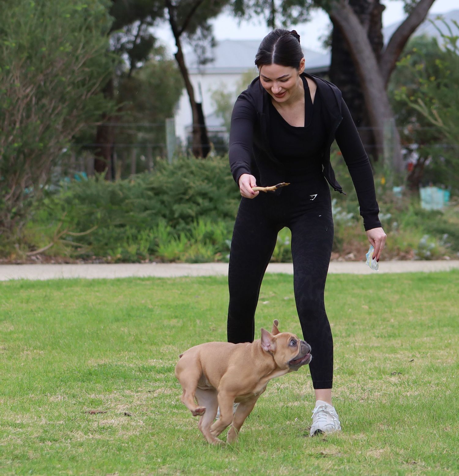 Young woman in black outfit training a fawn French Bulldog puppy in a green park.
By Chris Harban