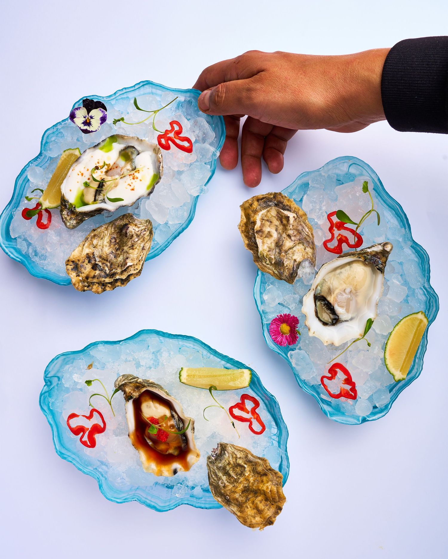 Fotografía gastronómica de varios aperitivos gourmet presentados en platos