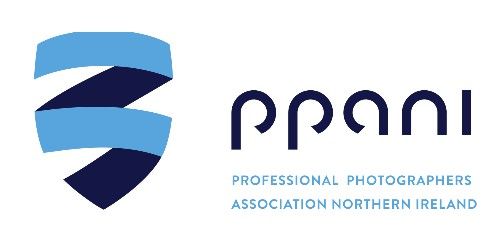 Professional photographer association logos in blue and navy colors arranged in a horizontal row.