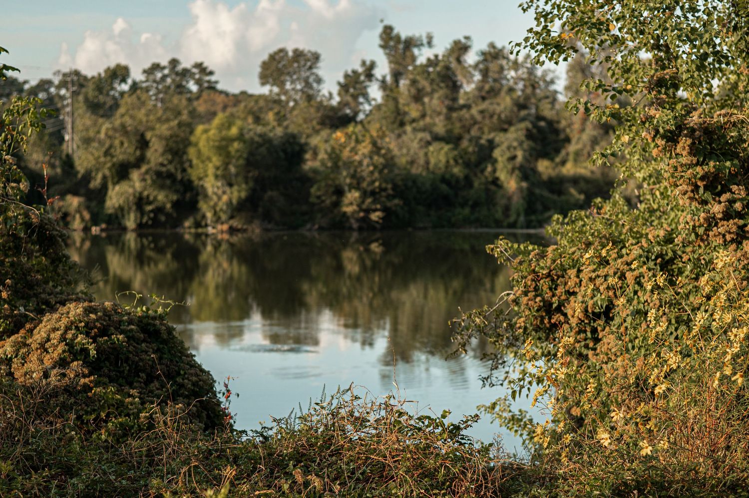 Panoramic view of a tranquil lake surrounded by lush green trees and autumn foliage on a sunny day.