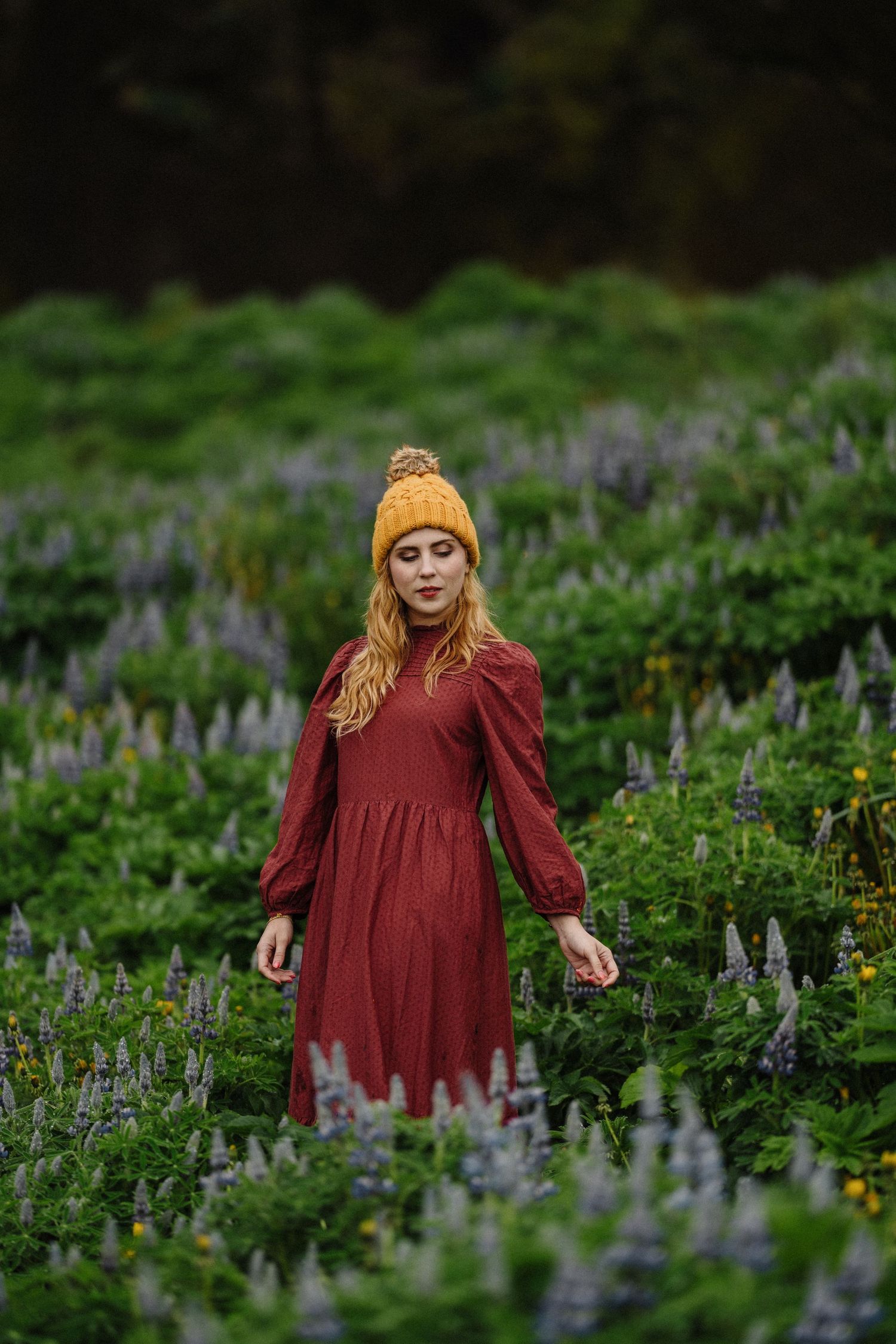 Young woman in red dress and yellow beanie hat standing in a field of purple lupine flowers vik Iceland.