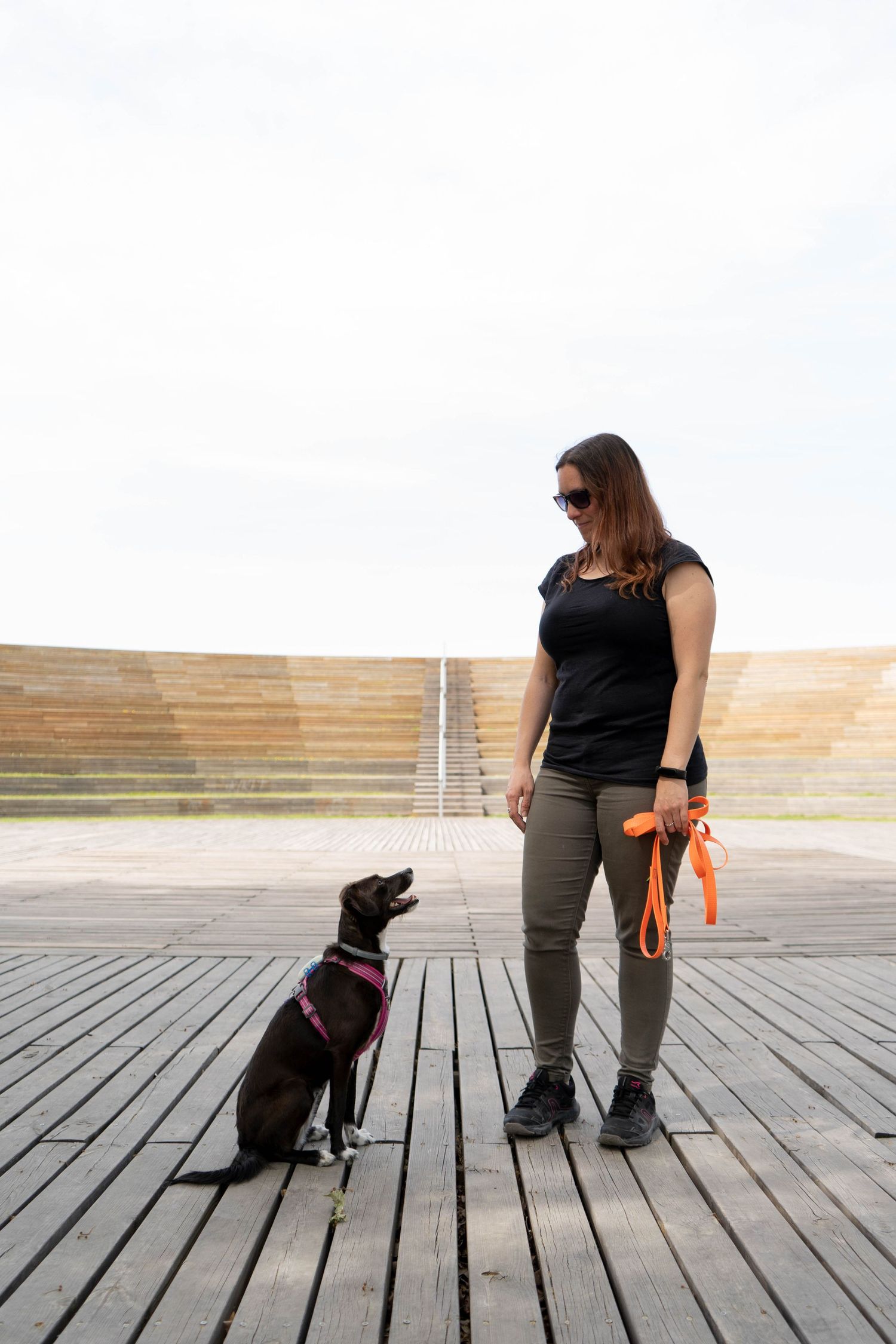 mujer con perro, fotografía de familia multiespecie