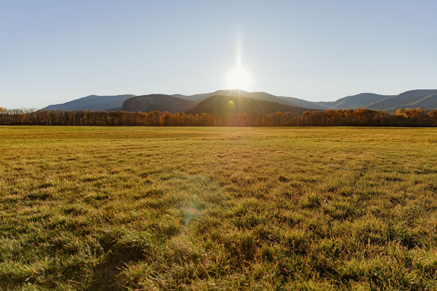 Golden sunlight illuminates a vast grassland prairie stretching towards distant mountains at sunset.