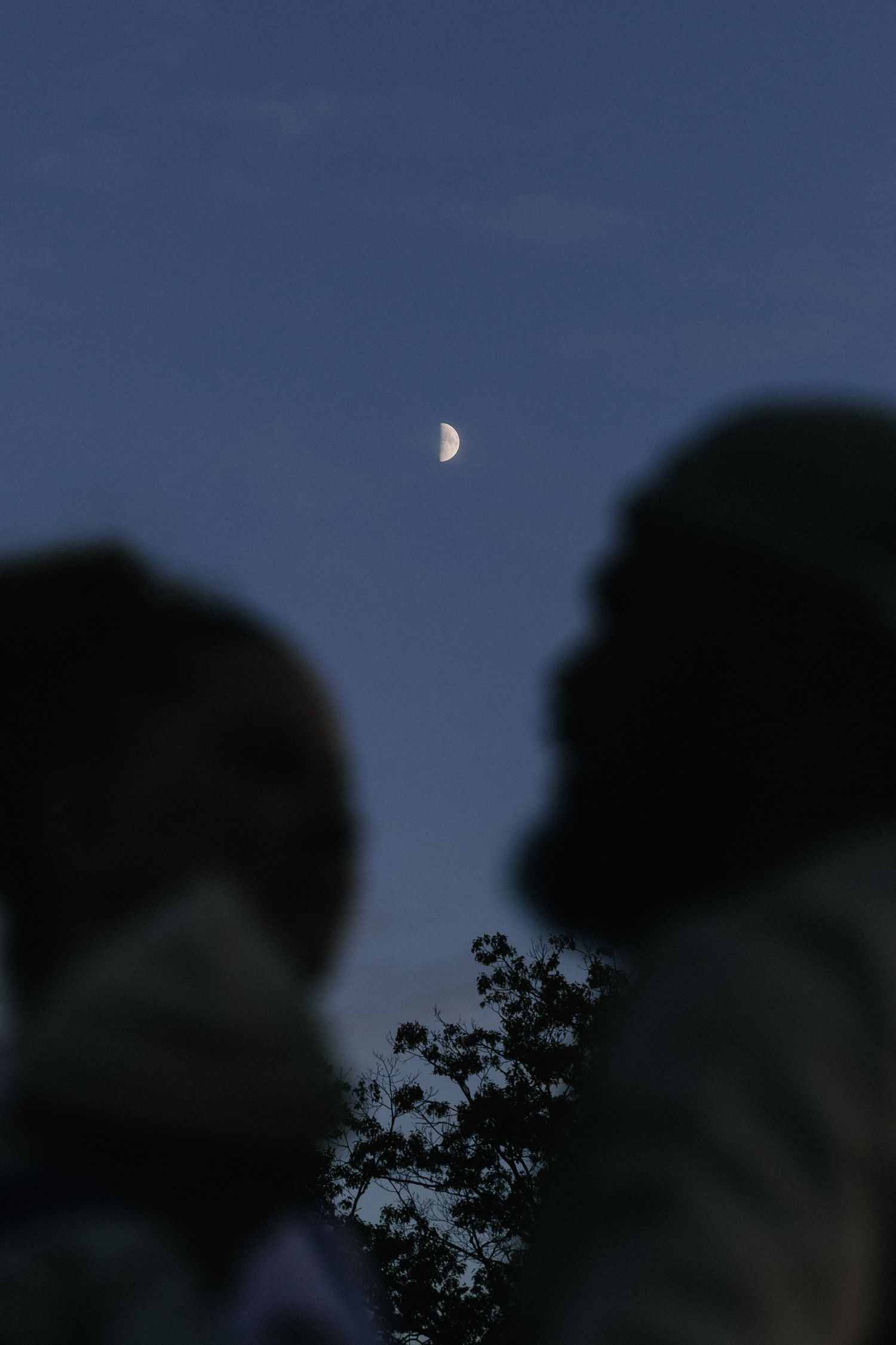 Half moon glows in dark blue evening sky with silhouetted tree branches and blurred foreground shapes.