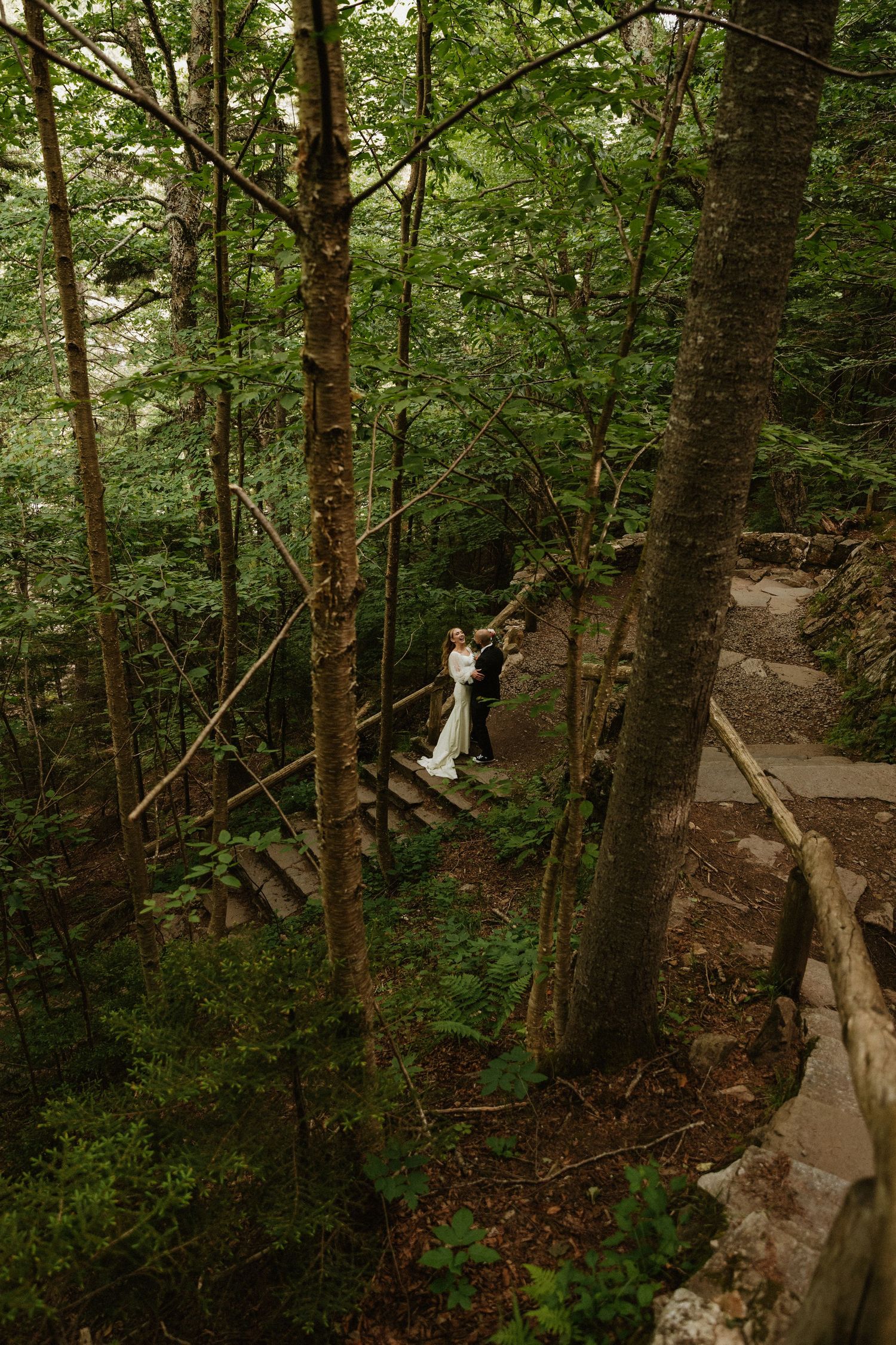 A winding forest path through dense trees with wooden railings and steps.