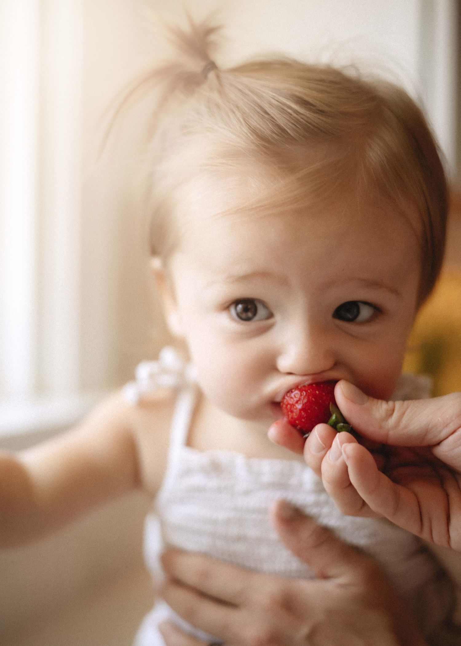 A small child enjoying a fresh red strawberry while sitting in front of a bright window.