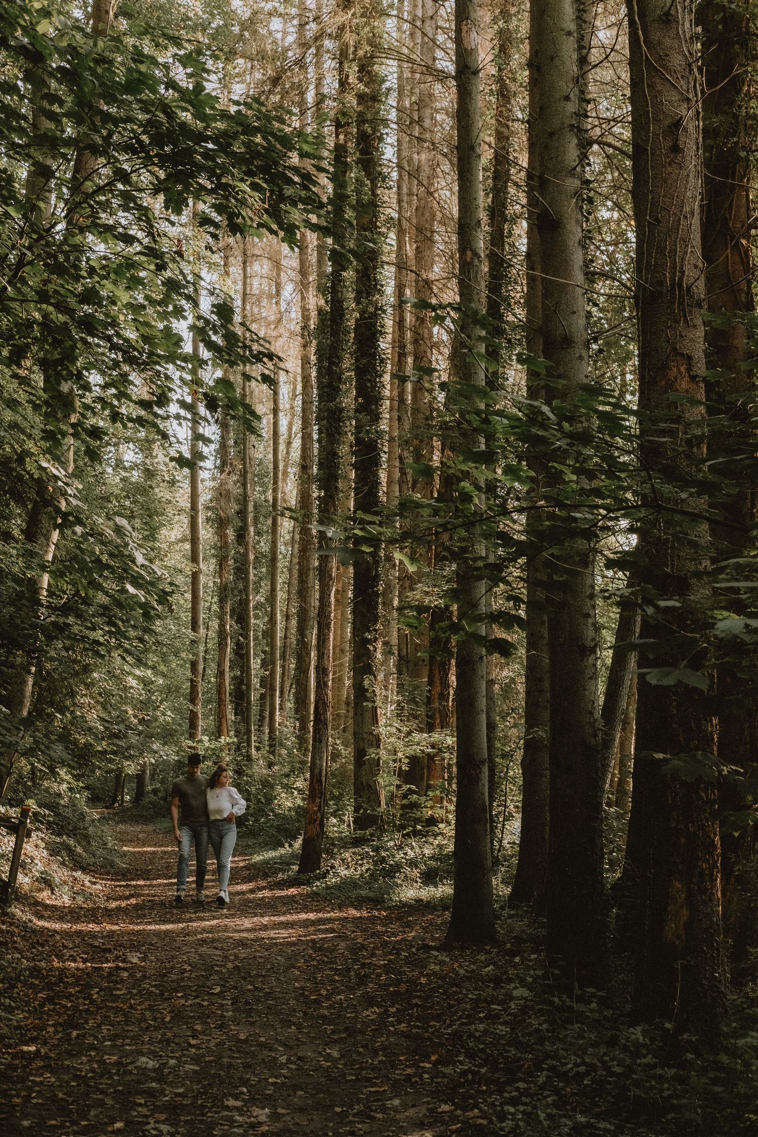 Couple walking together on a leaf-covered path through tall trees in autumn forest.