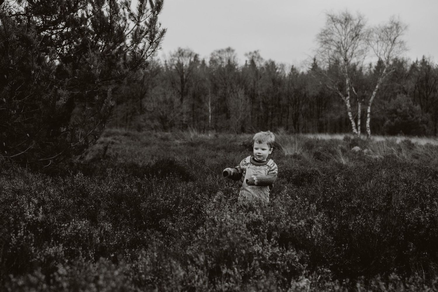Black and white photo of a toddler standing alone in a wild heathland field near a forest.