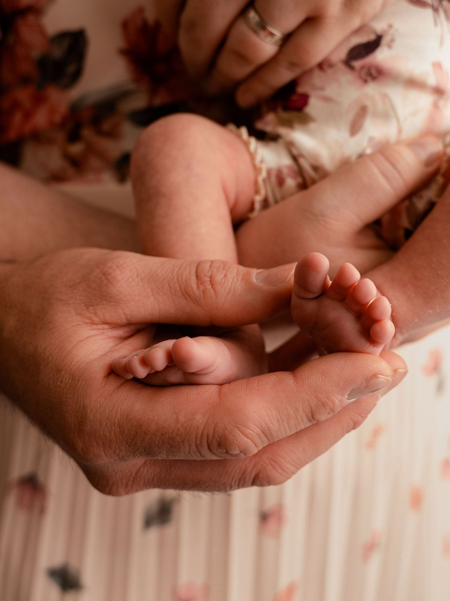 Close-up of a newborn baby's tiny feet cradled gently in an adult's hands.