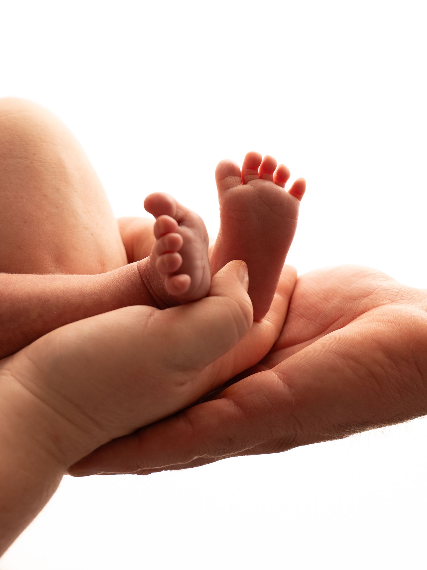 Adult hands gently cradling tiny newborn baby feet, symbolizing love, care, and new parenthood.