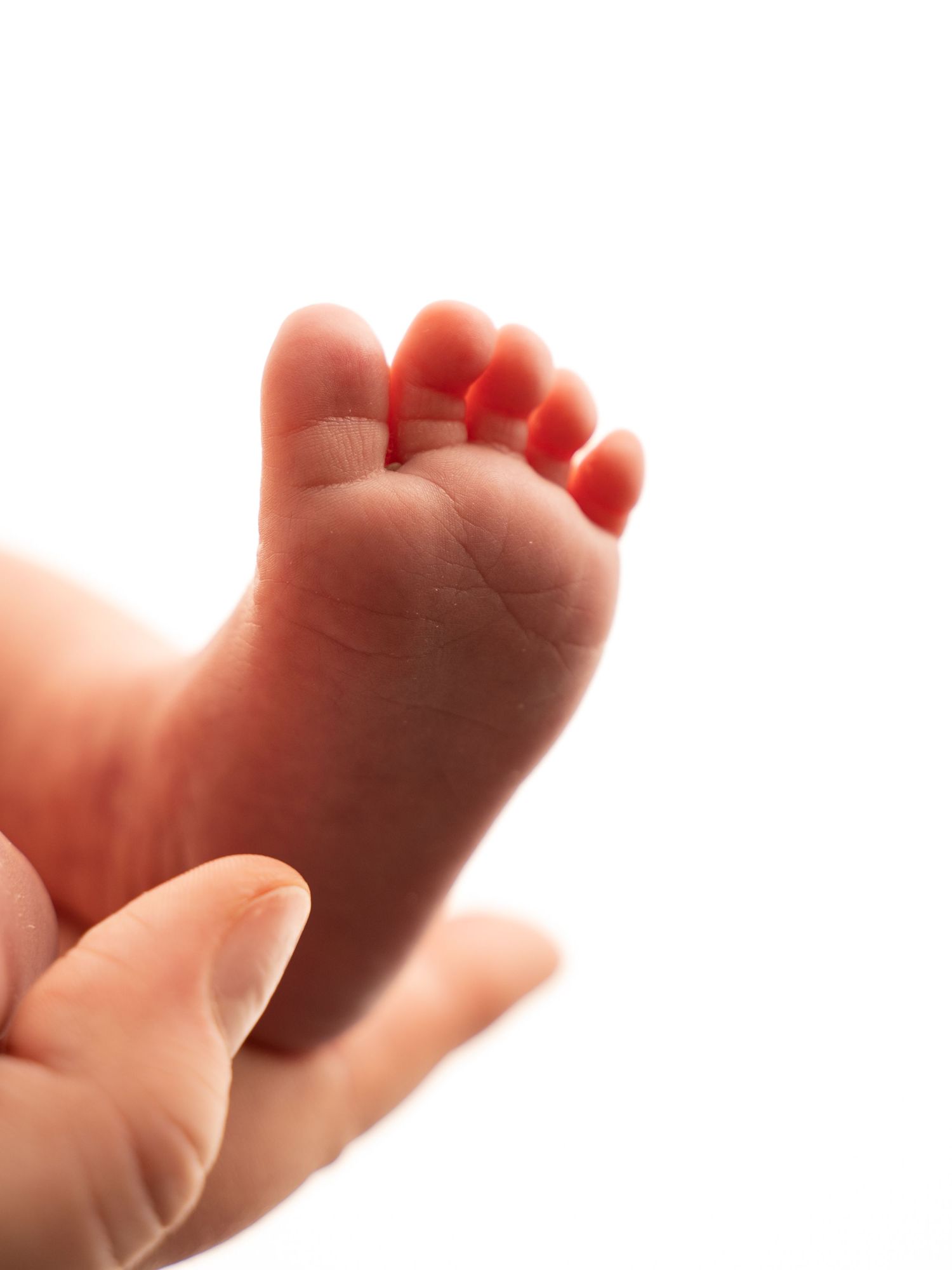 Close-up of a newborn baby's tiny foot resting gently in an adult's hand on white background.