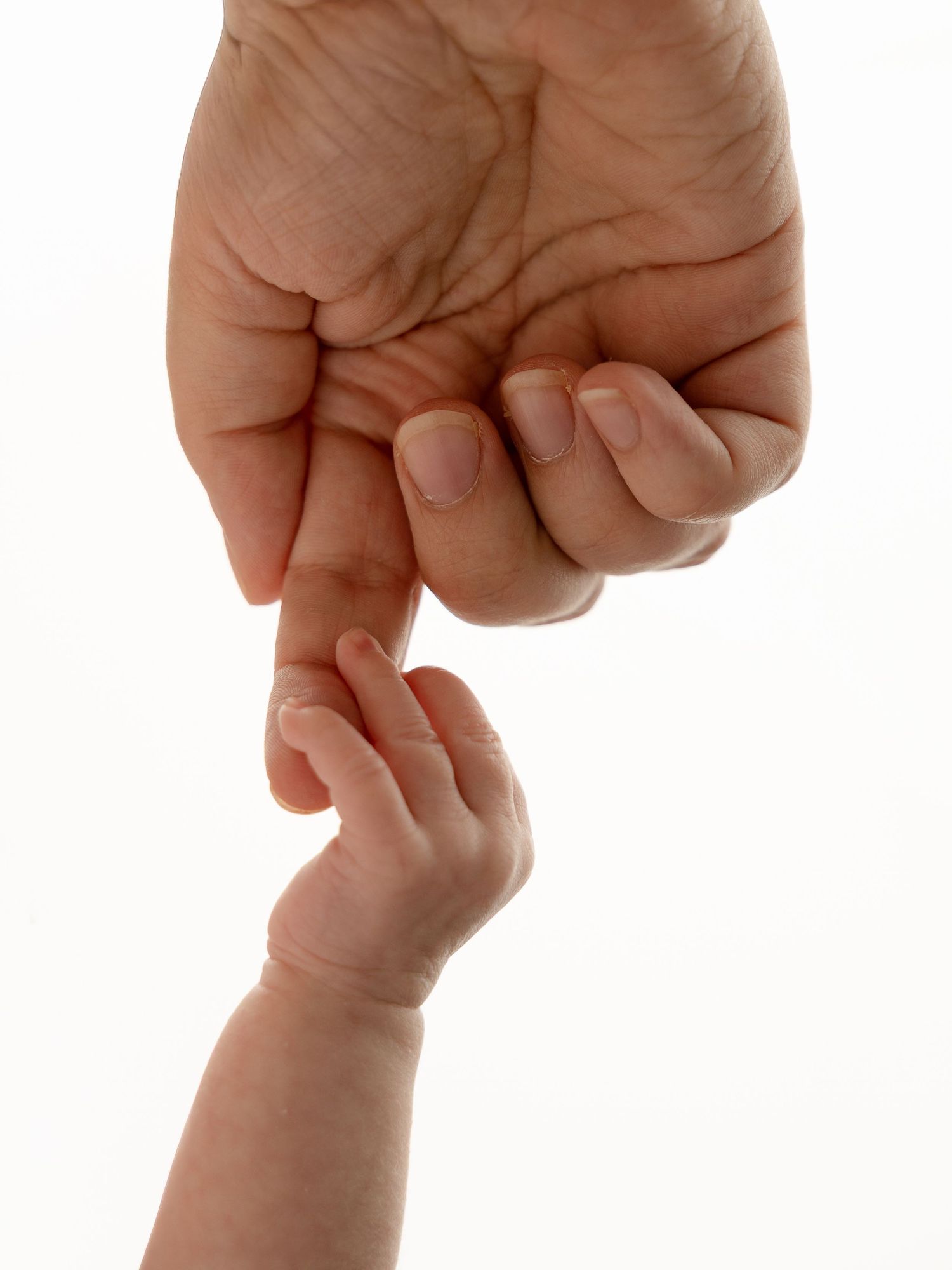 Baby hand grasping adult finger on white background.