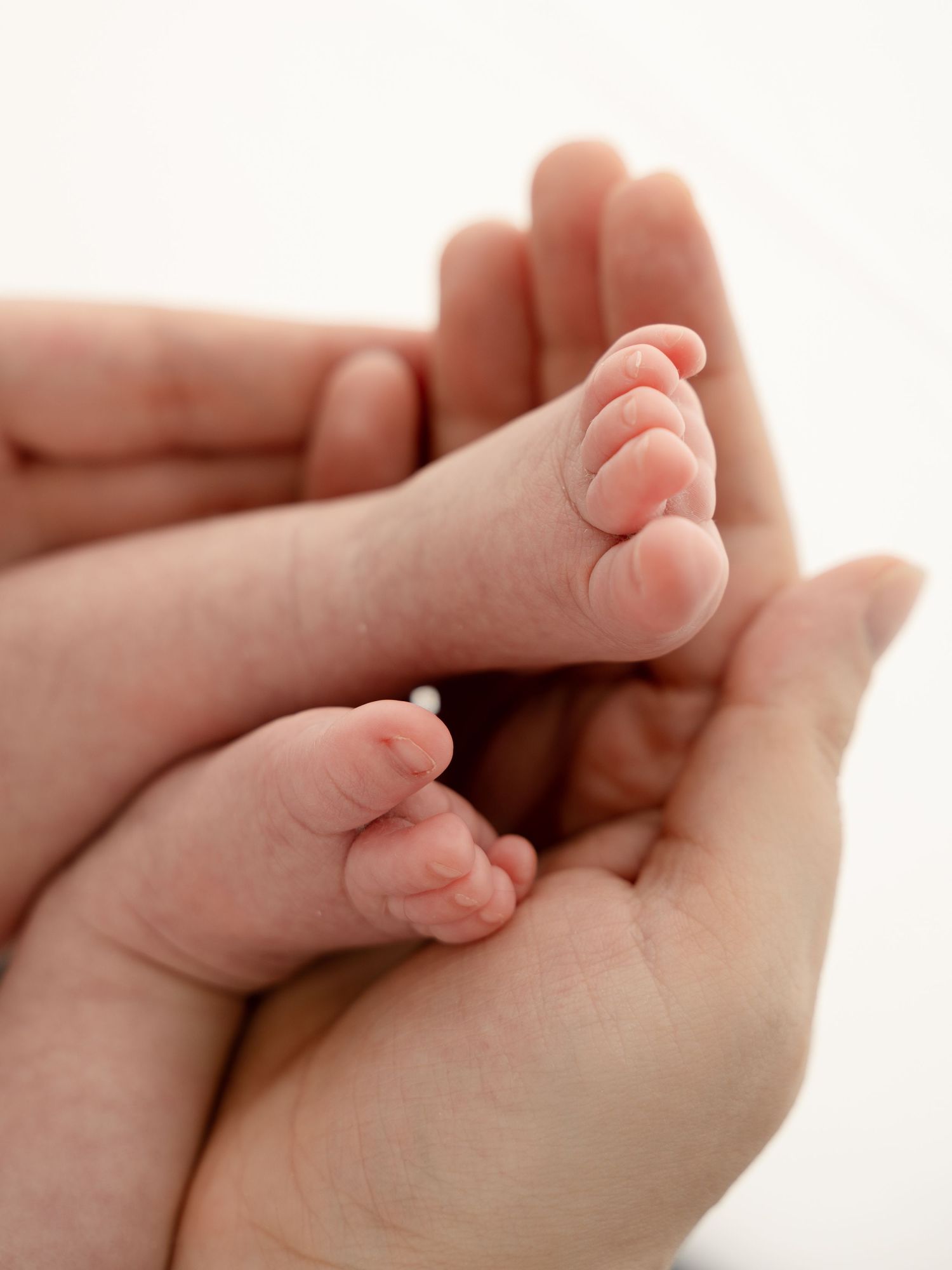 Tiny newborn baby feet resting in adult cupped hands.