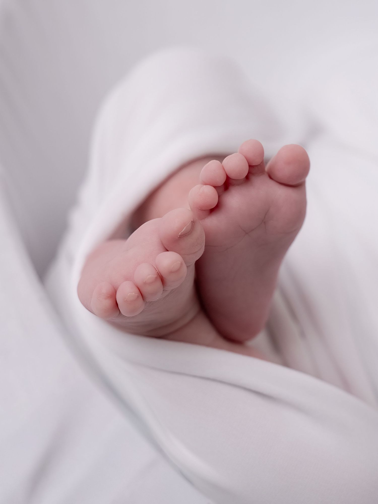 Close-up of tiny newborn baby feet peeking out from soft white blanket.