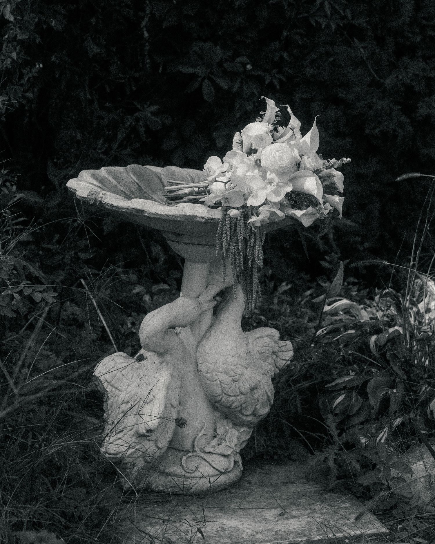 Black and white photo of a decorative bird bath with floral arrangement, surrounded by lush garden foliage.