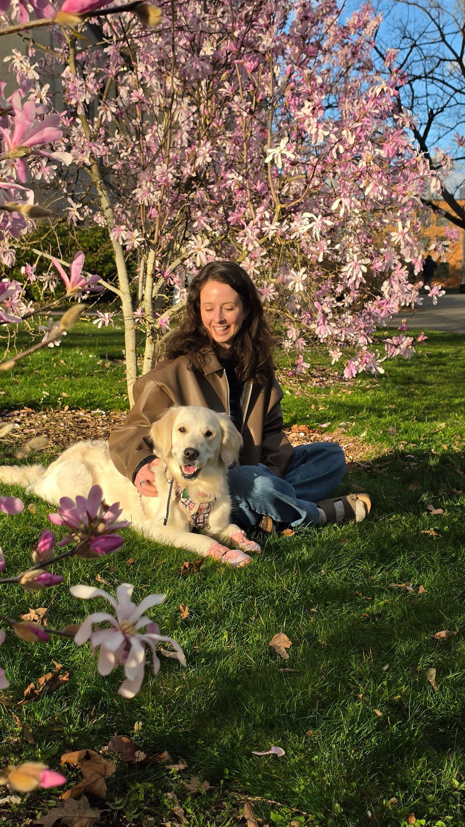 Smiling woman sitting on grass with white Golden Retriever puppy under blooming pink magnolia tree in spring.